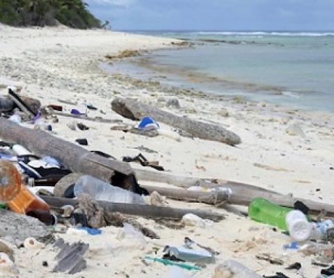 Discarded plastics washes up on the Cocos Keeling Islands, Australia.(Supplied: Silke Stuckenbrock)