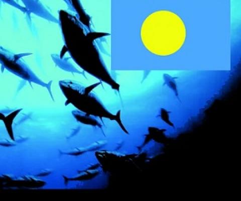 PNMS celebrates its 6th anniversary. Credit - Leilani Reklai, https://islandtimes.org/