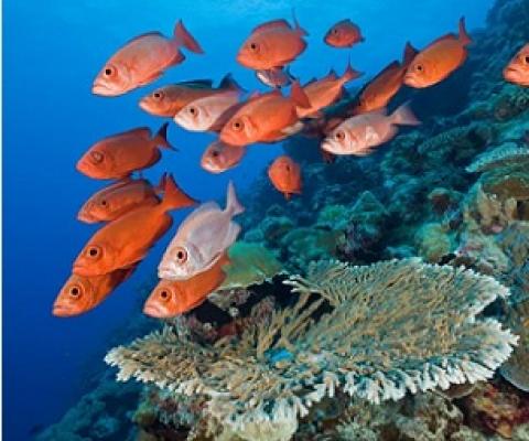 Credit - Reinhard Dirscherl—ullstein bild/Getty Images