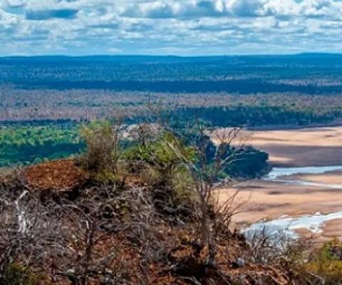 Gonarezhou national park, Zimbabwe, home to about 11,000 elephants, could benefit from the new Legacy Landscapes Fund. Photograph: EyeEm/Alamy