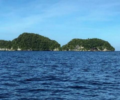 Palau is a small Pacific-island nation that sits 930 miles east of the Philippines CREDIT: MIKHAIL FLORES /AFP