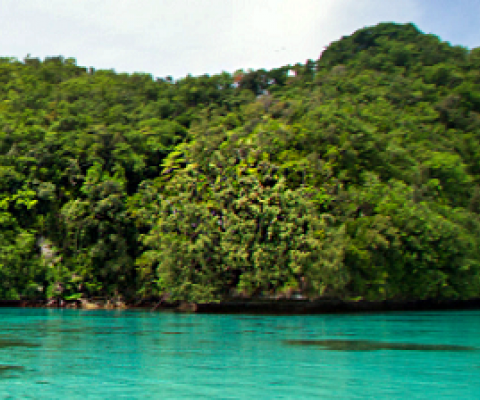 Conservation and Ecosystem Recovery on Ngeanges Island, Palau. Credit - https://www.islandconservation.org