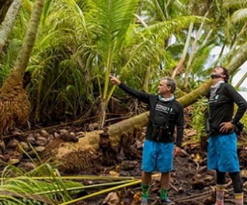 Nick Holmes (left) and Alex Wegmann (right), scientists with the Nature Conservancy, look for seabirds after volunteers have cut down and poisoned palms. Photo - DANA EDMUNDS