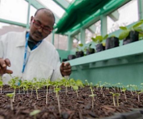 SPCs new Plant Health Lab (PHL). Credit - SPC