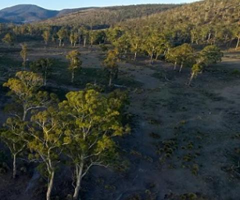 Prosser River Reserve is home to at least 11 at-risk plant and animal species. Photograph: TLC/Rob Blakers/The Guardian