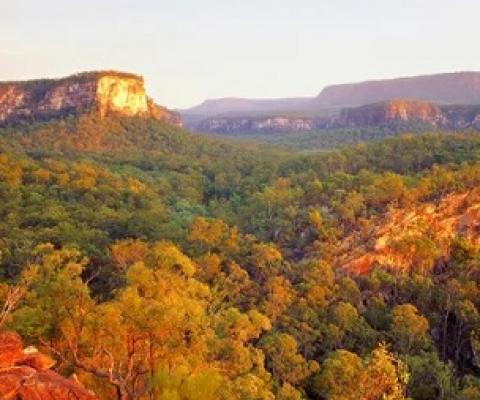 Carnarvon national park, one of two parks bordering the area where Australia’s largest east coast gas producer wants to drill up to 7,700 new wells. Photograph: Auscape/UIG via Getty Images