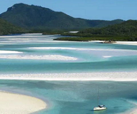 Last week two tourists were attacked by a shark while snorkelling in the Whitsundays, Great Barrier Reef. Photograph: Chris McLennan/Tourism and Events Queensland
