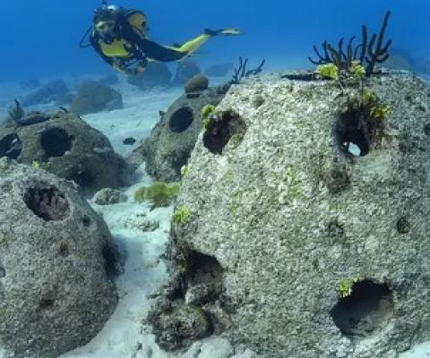 Reef balls can attract a host of marine life to largely barren seabed. One near Florida is now home to 56 species of fish, as well as crabs, sea urchins, sponges and coral. Photograph: agefotostock/Alamy