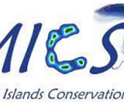 MICS logo