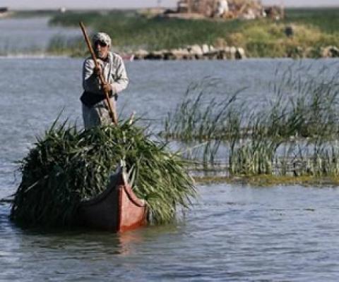 An Iraqi Marsh Arab paddles his boat as he collects reeds at the Chebayesh marsh in Dhi Qar province, Iraq April 14, 2019. Picture taken April 14, 2019. REUTERS/Thaier al-Sudani