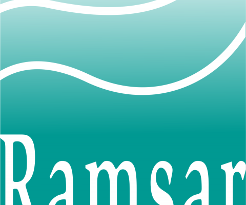 Ramsar Convention Logo