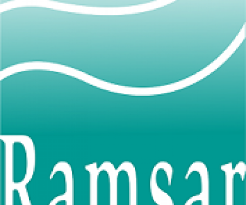 Ramsar logo. Credit - www.ramsar.org