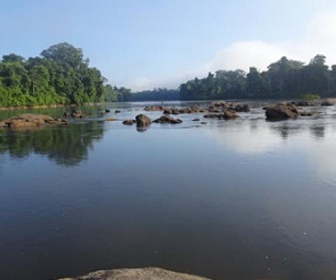 Half of all rivers in the world heavily impacted by humans. Credit: Sebastien Brosse