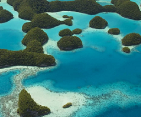 Rock Islands, Palau. Photo credit - Stuart Chape