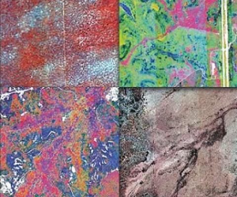 Plant species diversity in four different ecosystems represented as spectral variation. Credit: Anna Schweiger, Etienne Laliberté