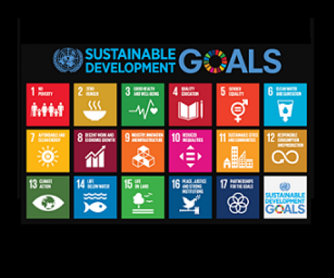 sustainable development goals. credit - www.un.org