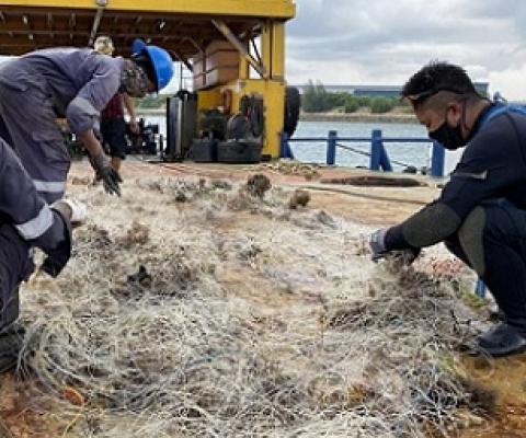 Volunteers worked with the Maritime and Port Authority of Singapore to retrieve a drift net on May 21 that likely caused the death of an endangered hawksbill turtle. PHOTO: OUR SINGAPORE REEFS