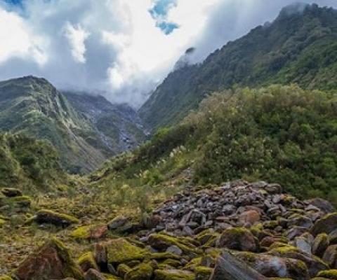 significant natural areas, New Zealand. Credit - 123RF