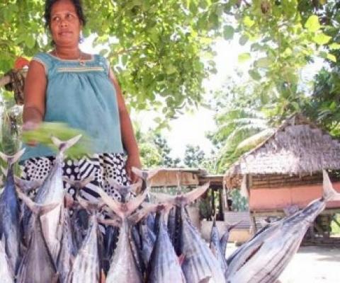 A woman sells skipjack tuna. Women are commonly engaged in selling fish locally. Photo: SPC.