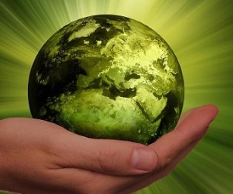 26,000 More Species Threatened. Source - https://www.eurasiareview.com/vvvvvvvvvvvvvvvvvvvvvvvvvvvvvvvvvvvvvvvvvvvvvvvvvvvvvvvvvvvvvvvvvvvvvvvvvvvvvvvvvvvvvvvvvvvvvvvvvvvvvvvvvvvvvvvvvvvvvvv