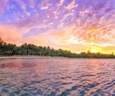Locals only - island environments like this popular swimming spot on Rarotonga are becoming lush with life and colour thanks to the tourism shutdown. Photo: D.Fisher