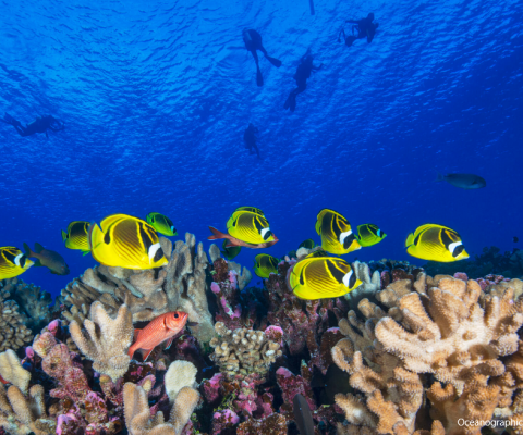 Marshall Island