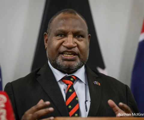 PNG Forests