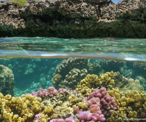Tuvalu