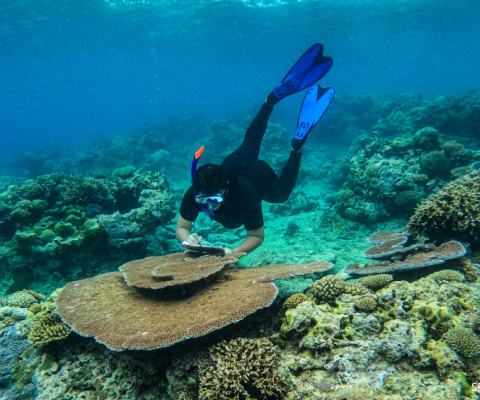Vanuatu