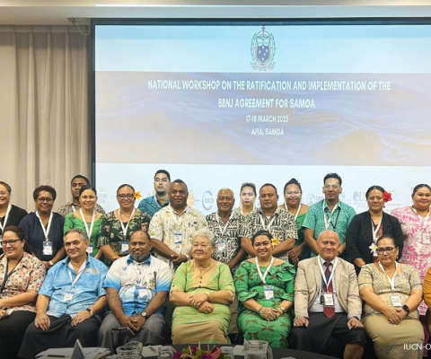 IUCN, BBNJ