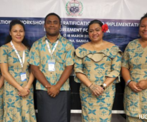 Fiji, BBNJ