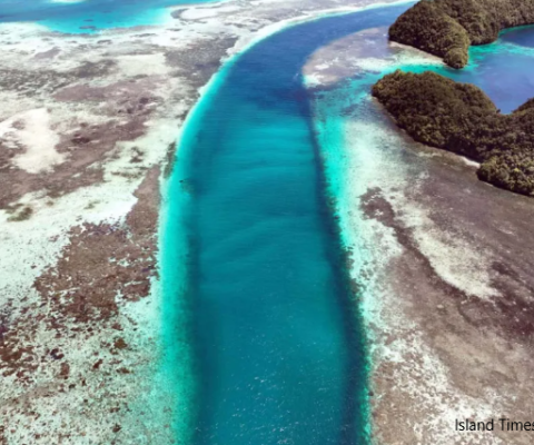 Palau, coral reef