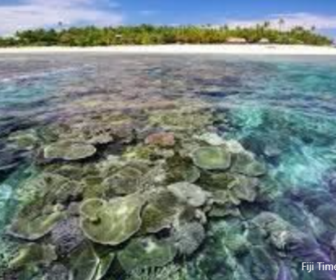 Tavarua, MPA