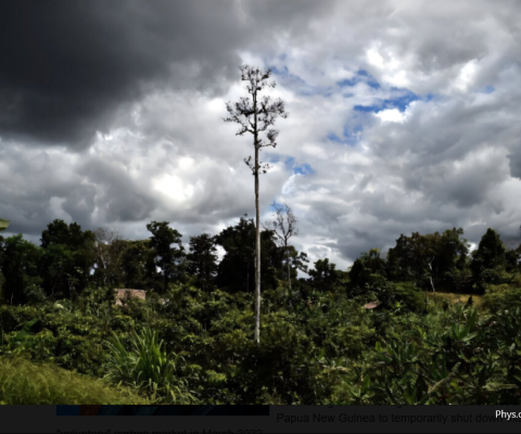 PNG, carbon trade