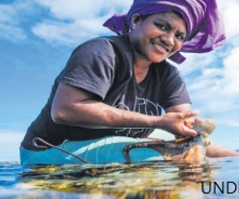 UNOC