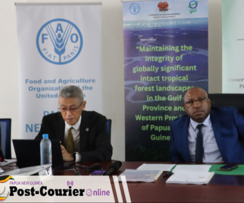 PNG, GEF-8, Rainforest protection