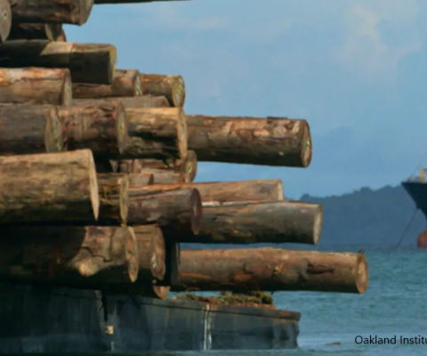 Logging, PNG