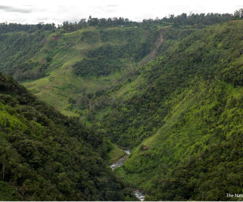 PNG, CEPA