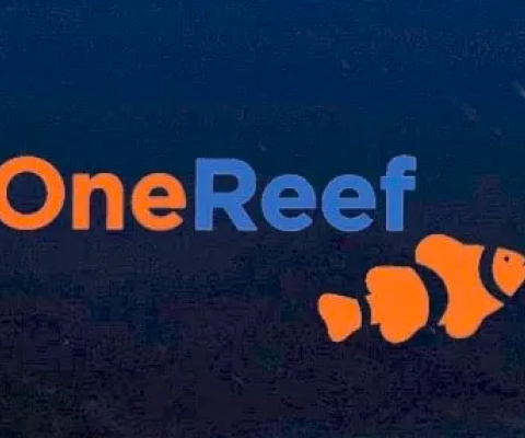 One Reef