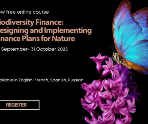 Free Course