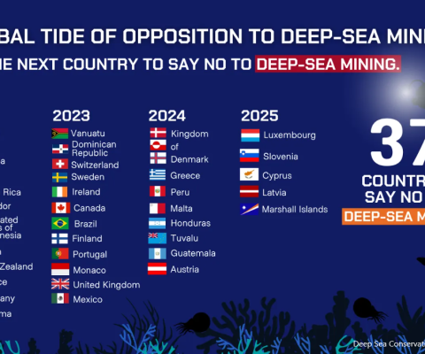 Deep Sea Mining