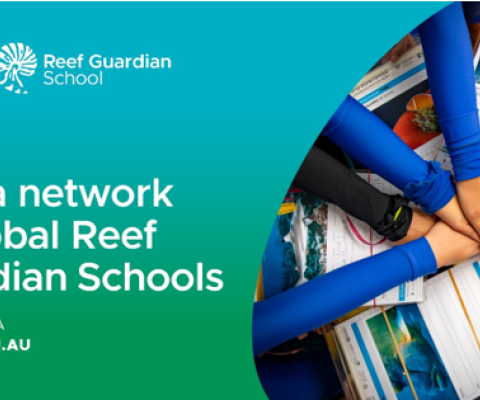 Reef
