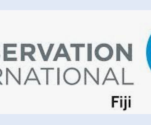CI Fiji