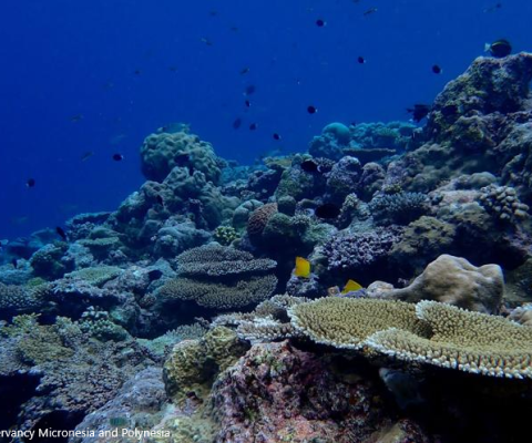 Palau