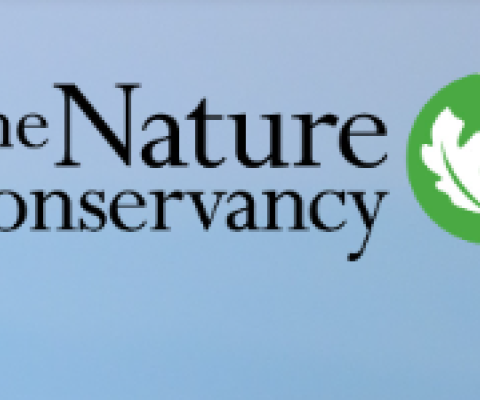 TNC