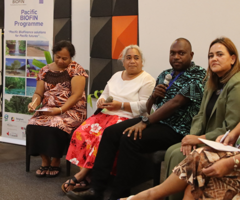 UNDP Pacific