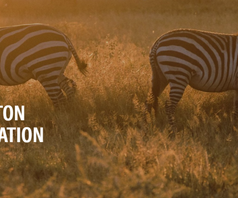 Conservation