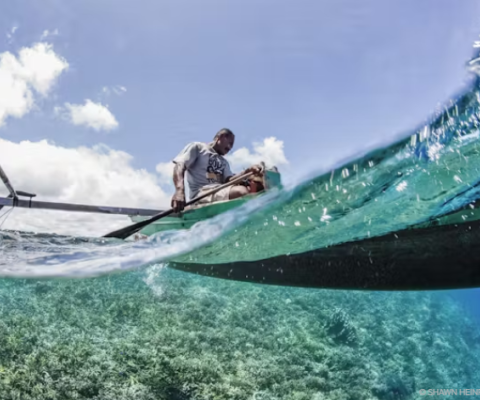 Ocean protection