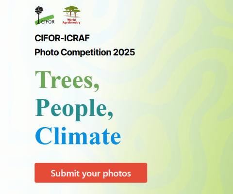 CIFOR