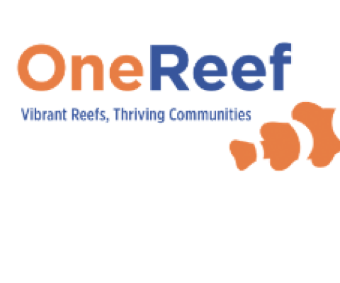 One Reef
